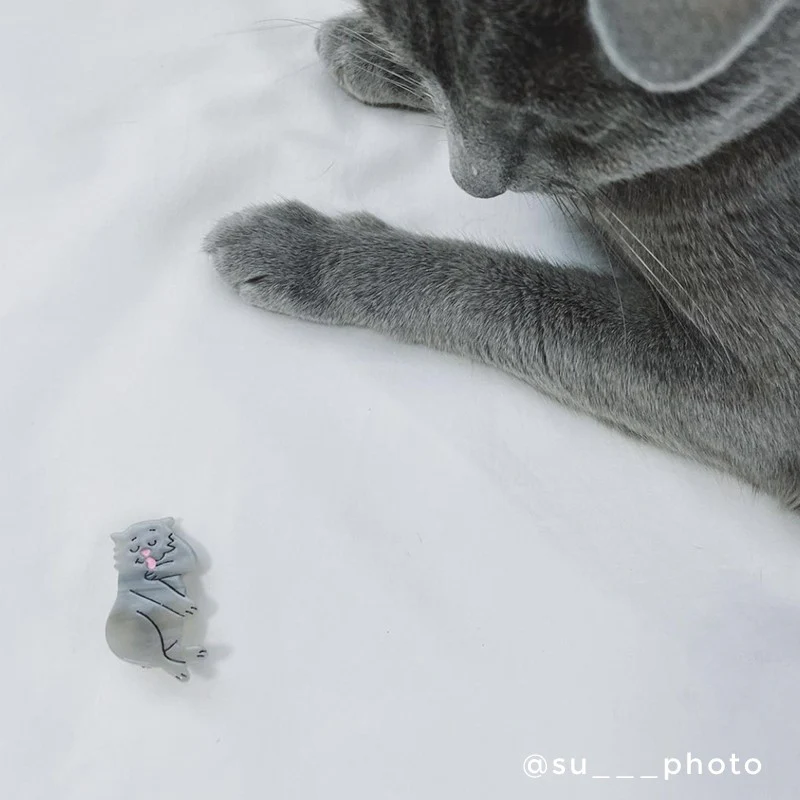 Barrette Chat Gris - Image 4