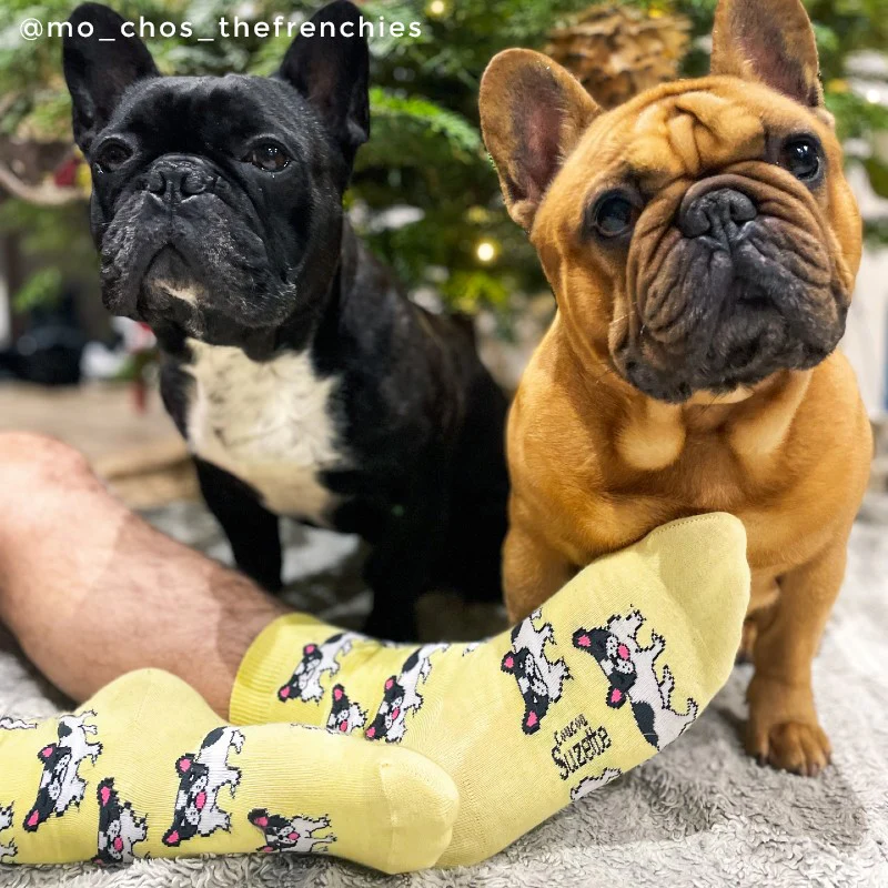 Chaussettes Bouledogue - Image 4