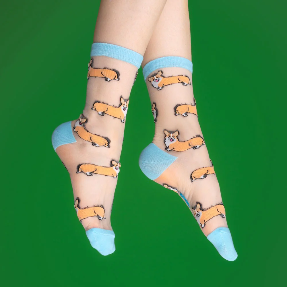 Chaussettes transparentes Corgi - Image 4