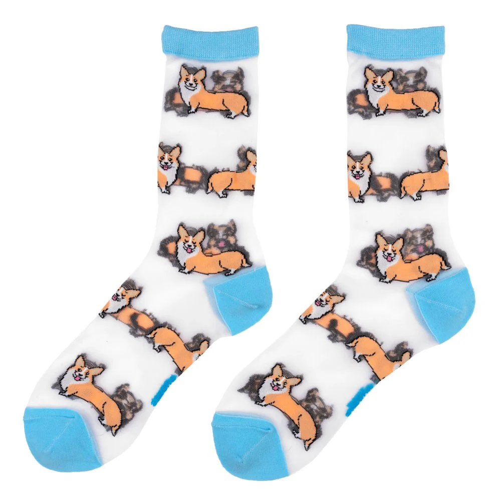 Chaussettes transparentes Corgi - Image 5