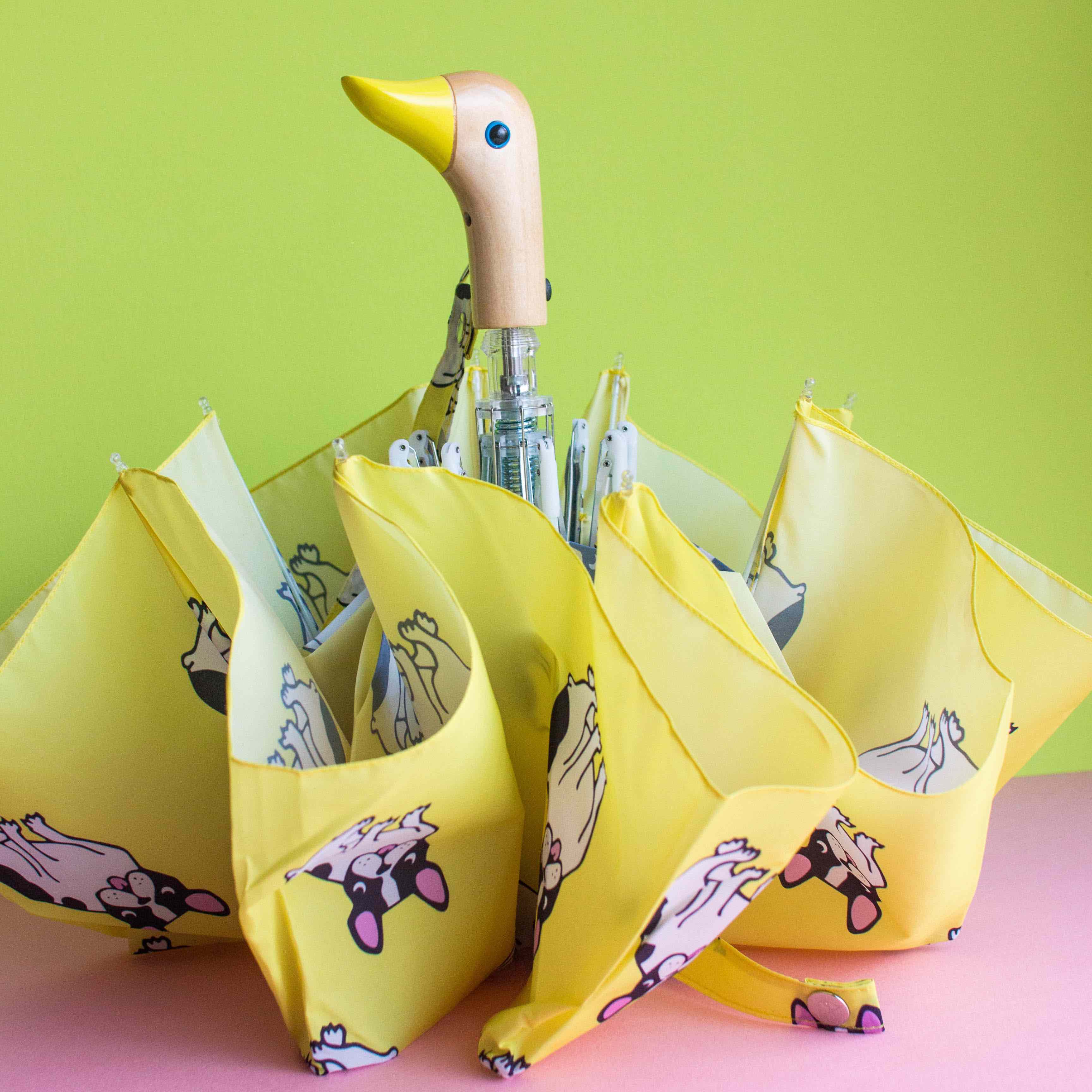 Parapluie Bouledogue - Image 5