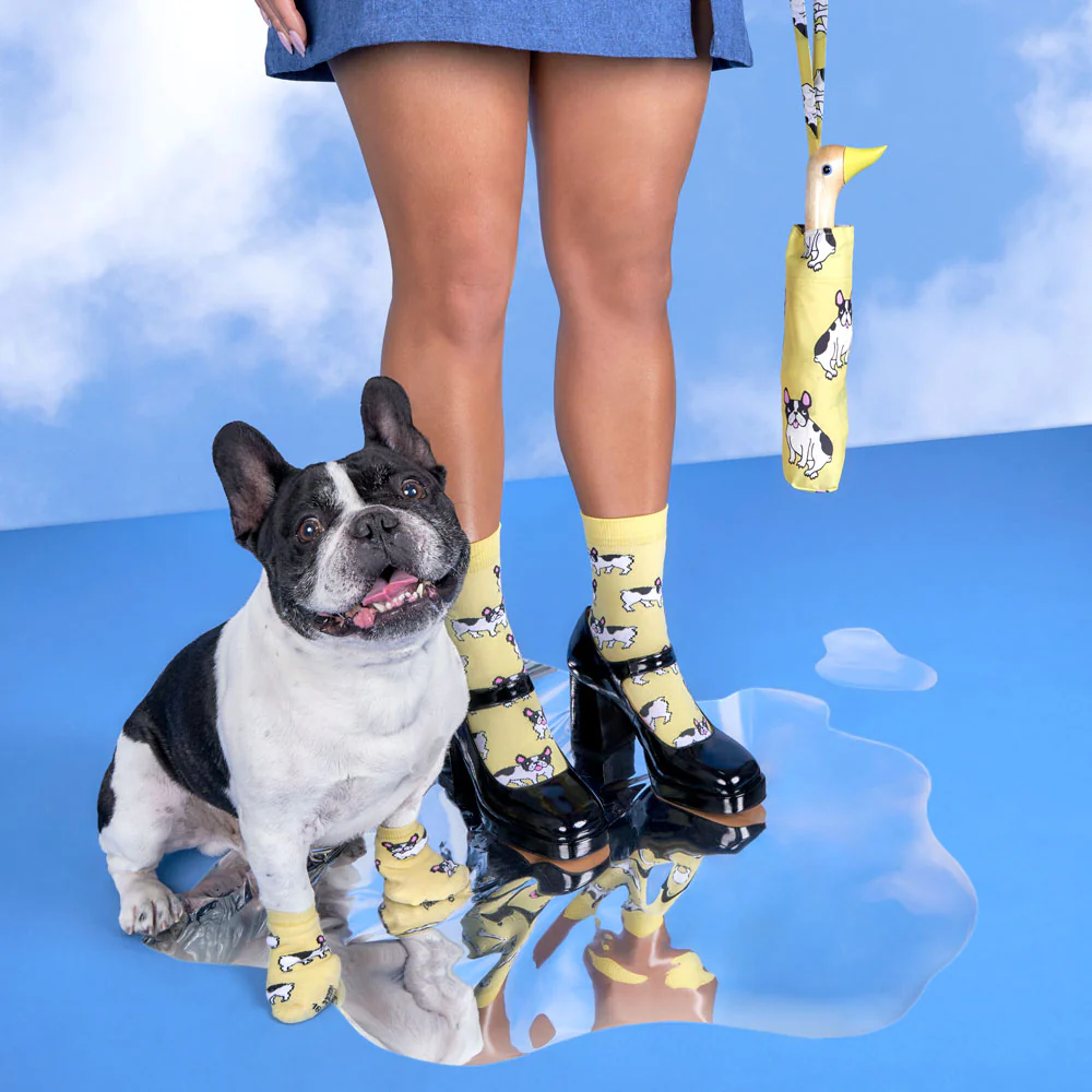 Parapluie Bouledogue - Image 7