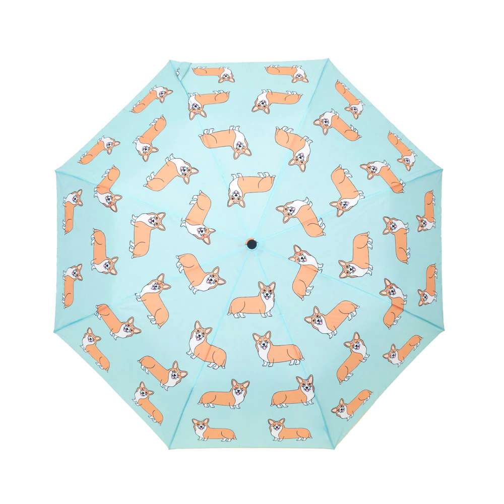 Parapluie Corgi - Image 10