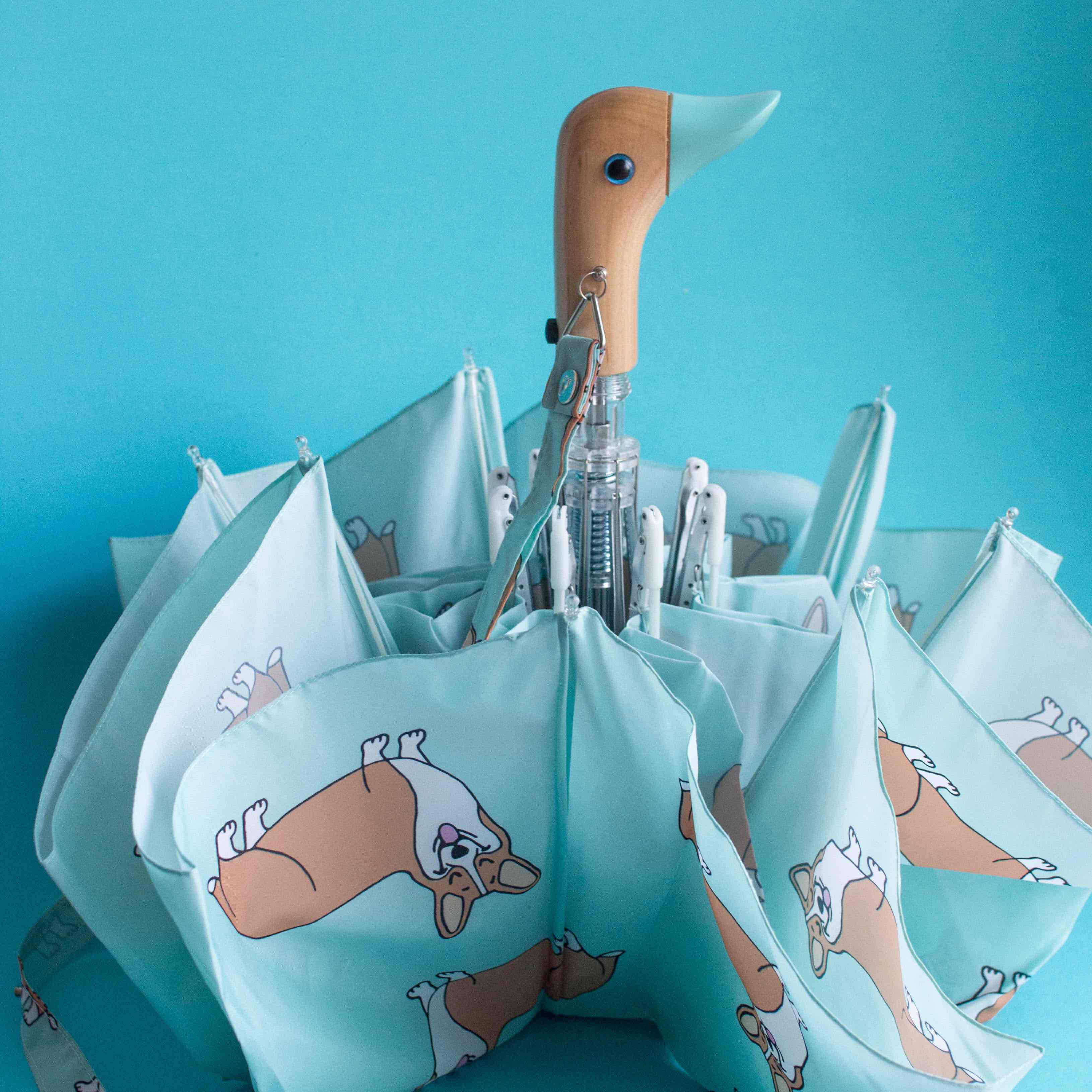 Parapluie Corgi - Image 6