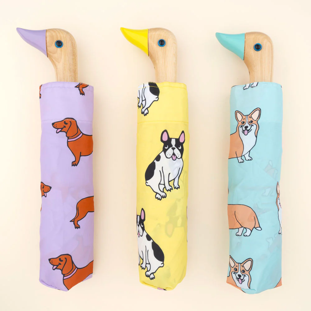 Parapluie Corgi - Image 9