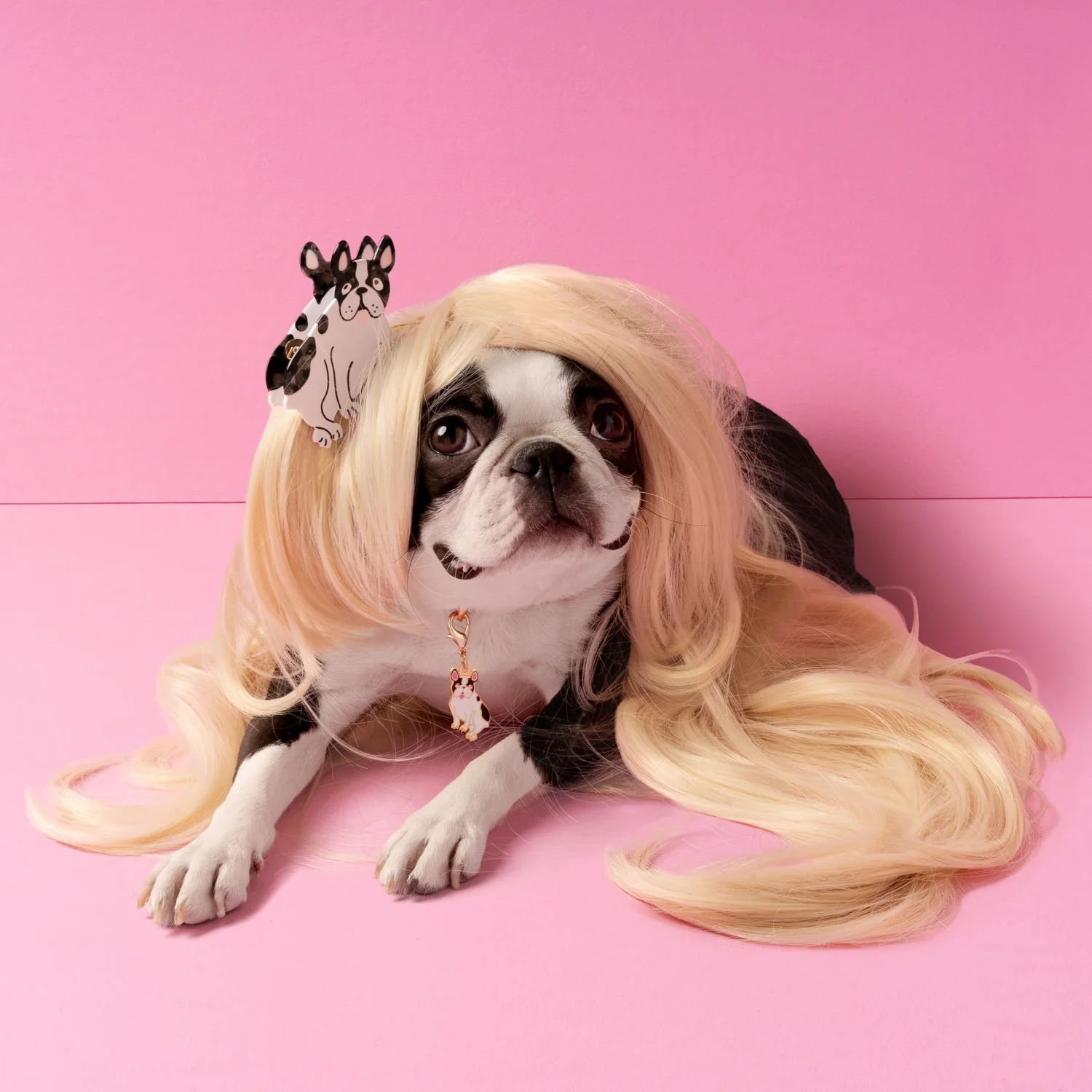 Porte-clé - Médaille Bouledogue - Image 5